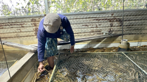 RAONG LANUNG OH GLUH JALAN PATRUH KATHAOT DI URANG BANGSA KHMER DI CAN THO