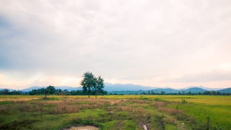 Tháng ba Tây Nguyên