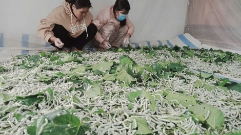 Jơnau tơngĭt ngai dơ̆ 3, ngai 17 nhai 02 nam 2026 (Ngai 01 Sa tềp)