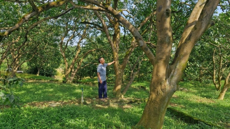 Chương trình phát thanh quam Tay thứ 3 mự 24 căm bườn 2 pì 2026