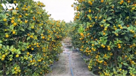 Angĭn êbŭ êa lip găn hgao - lăn lŏ bi mnga