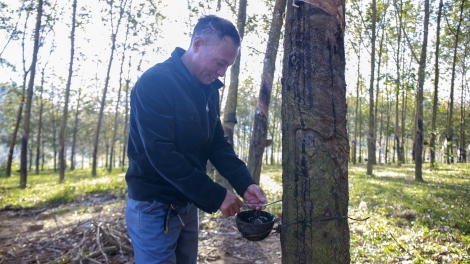 Mnuih ƀuôn sang Lăn Dap Kngư hơ̆k mơak drông yan mnga mrâo 