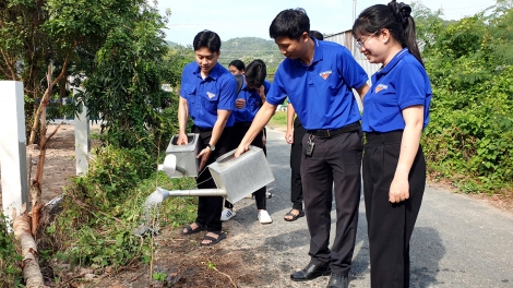 សង្កាត់ជីឡាំងផ្ដោតទៅលើការកែលម្អក្រុង។