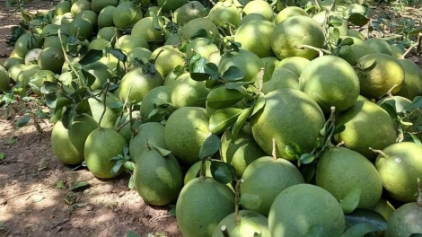 ពត៌មាន ម៉ោង​ ៦