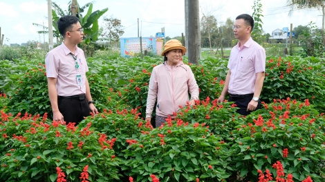 ZÊN VĂ T’DUI ĐOỌNG ZOOI ĐHA NUÔR ZR’LỤ BOO TUH ĐÀ NẴNG BHRỢ PADƯR BH’RỢ TR’NÊNG