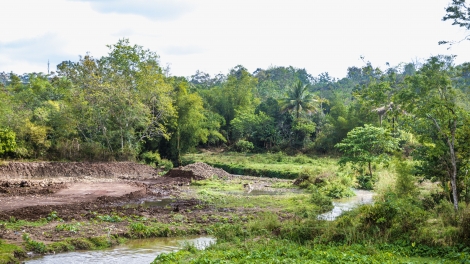 Tháng ba Tây Nguyên