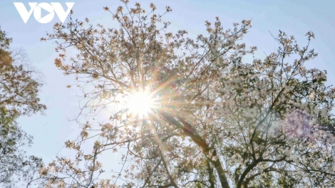 BHIÊC BHAN PÔ BAN ĐIỆN BIÊN 2026 GR’HOOT MOON BÂC RÂU T’MÊÊ