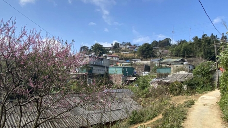 Tsaz yênhx nta suôz luk Hmôngz hnuz xiêz 09-02-2026