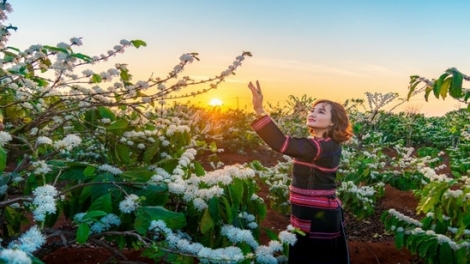 Lắng nghe mùa xuân về.