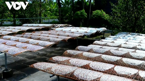 NDAP NDA HU ANGAN DI BHUM TANERAN KRAONG CUU LONG – KAYA ALIN HIDIAH RAYA TET HU PAHE BANGI BHAP BINI, PAGLAONG YAOM KAOM OCOP