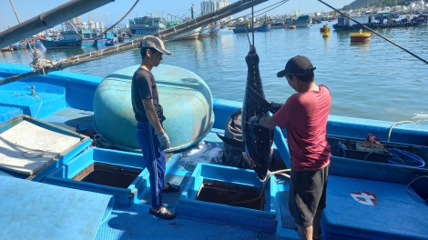 Trường Sa: Têt tung dế têa kơxĭ, hơtô tuăn pâ tơnêi tơníu