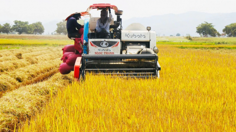 Kdrêč knhuah siam klei hdĭp 14.02.2026