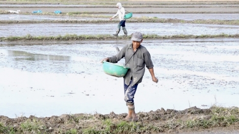Mơnuih ngă hmua Dak Lak čang rơmang bơyan ngă hmua puih phang tơdơi kơ tal ia ling dăo ngă