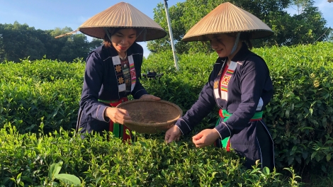 THÁI NGUYÊN: ĐƠƠNG CÔNG NGHỆ SỐ OOY HA RÊÊ CHÈ