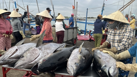 Phung trah mă kan Dak Lak drông klei tŭ dưn mơ̆ng êa ksĭ akŏ thŭn
