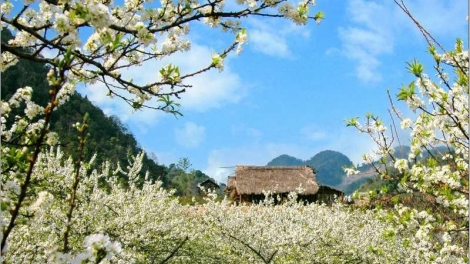 DƯƠNG CHỒM KHAU PHJA PẠNG BẮC NÈM BẠI THÌNH BJOÓC SLÌ XUÂN