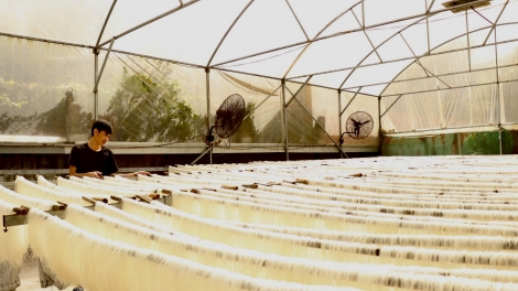 Tơmeăm OCOP Dak Lak mơ-eăm pro vâ tê tung rôh Têt