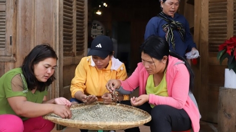 Jơnau đơs pơn đik kòn cau K'Ho