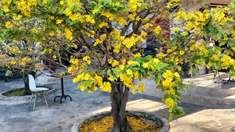 Hăn rlet yan năm mhe nkah tât ƀon tăm kao Mai Hàm Hiệp, n’gor Lâm Đồng