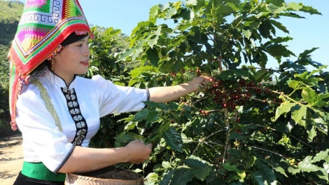  Chương trình quam khắp chựa nọi côn 2 căm bườn 3 pì 2026