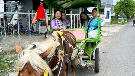 ឆ្នាំមមី និយាយអំពីរឿងថែទាំនិងបន្សាំងសេះបំរើភ្ញៀវទេសចរណ៍នៅកោះ ធើយស៊ើង ខេត្តដុងថាប