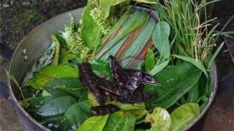 CỎ LẺ ÁP ĐANG VẰN ĐẮP