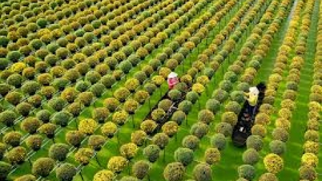 Danak dak sap Cam 23_02_2026