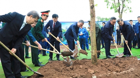 TONG BI THU TÔ LÂM PEIH BRUK JAK BA “TET PALA PHUN HADAR MIET MIAT DHAR PHOL WA HO” BILAN PATAIH NETHAK ASAIH WAW 2026