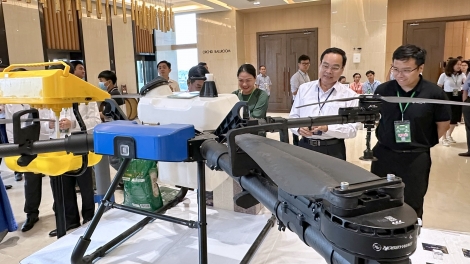 អភិវឌ្ឍប្រភពធនធានមនុស្សគុណភាពខ្ពស់ជូនកឹងធើ និងដីសណ្តទន្លេគីវឡុង 