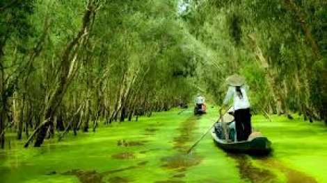 Danak dak sap Cam 30_03_2026