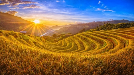 CHƯƠNG TRÌNH KHAY HENG TÀY - NÙNG (Thứ Sáu, vằn 29/5/2026)