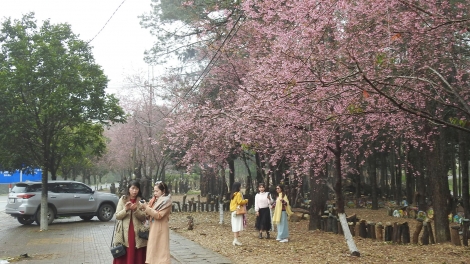 Á lơ khíu kong Tu Mrông pin 