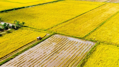 កឹងធើ កសាងជនបទថ្មីទំនើបនិងស្ថិរភាព