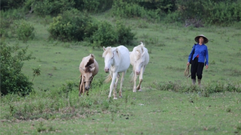 TỈ CẦN KÉ DÚ BẢN CỎN HĂN HÔN HỈ