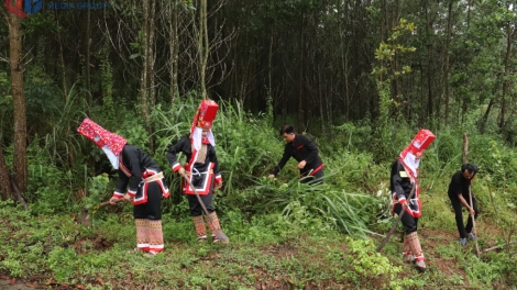 PỬA ĐẢNG VIÊN TỨN HUA HẾT CÓN