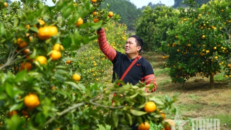 Tsaz yênhx nta suôz luk Hmôngz hmo 23-3-2026