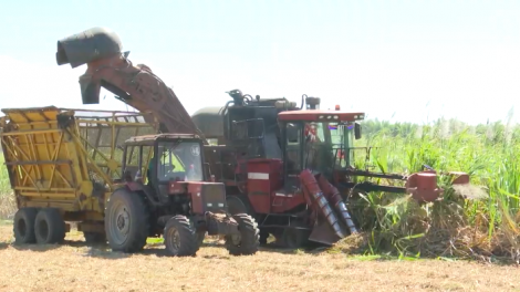 Kuăn pơlê pêt kơtếo Gia Lai hơniâp ro xua châ kơtếo hên, tê kơnâ