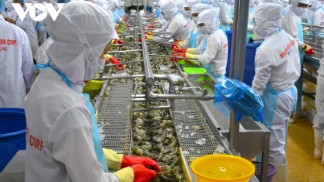 CA MAU PATAGOK KINH TE DANG SA URANG BREI TAGOK “DUA LEK TAKA SO”