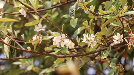 Lầy tzình phát sinh ìu miền vả hoi 28.3.2026