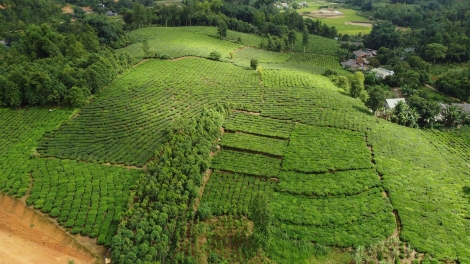 Ngon tô thứ 6 mự 10 căm bườn 4 pì 2026 – Sờn Là chấp năm quam khót nang số 14, mự 20/3/2026 khòng Bộ Chính trị cánh pưng chỉa lai chịk bók khòng Thủ tương Chính phủ, Thường trực Chính phủ ma tang tẹt tiêng chợ lạt kài nặm măn xăng