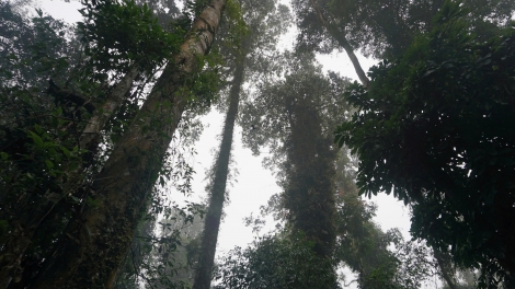 Bơnê kơ bri hlôi pring vei ăn tơdrong hơrih 'lơ̆ng sơđơ̆ng 