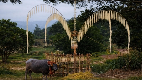 Tơlơi akhan ngă yang pơtrum kơbao