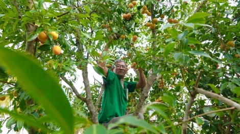 URANG TAHA NGAK NONG CAN THO MEK LABA BAK YAU MENG BEIN PHUN THANH TRA