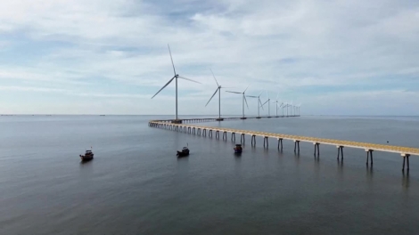 ខេត្តវិញឡុងអភិវឌ្ឍថាមពលបង្កើតឡើងវិញតាមទិសដៅបៃតង និងចីរភាព 