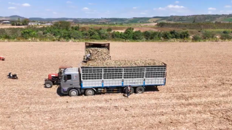 Phung pla kbâo ti Gia Lai kyua mâo klei tŭ dưn lehanăn mâo ênoh