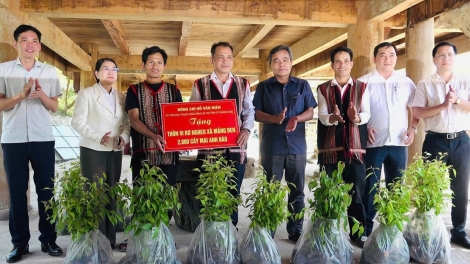 2.000 T’NƠƠM PÔ MAI ANH ĐÀO VÊY TA CHOH COH CR’NOON DU LỊCH VI RƠ NGHEO