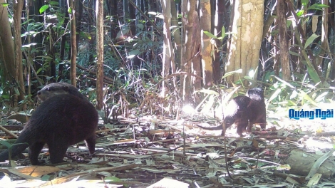 G’LUH TR’NƠỢP BƠƠN LÊY M’HÂY LÂNG ACHỊM HỒNG HOÀNG ĐHỊ BHƯƠN K’TIẾC K’RUUNG CHƯ MOM RAY