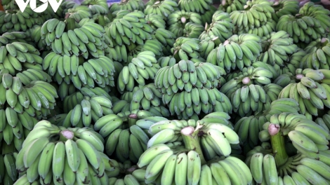 Ngon tô thứ 5 mự 19 căm bườn 3 pì 2026: Khổng Lao – Luông tánh tăm vịa dệt dượn cánh dan tang tẳng tánh bản na mắư nẳng phổng xùng