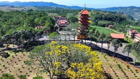 Năl gĭt dor yôk Di Linh tâm ntŭk hun hao Lâm Đồng mhe