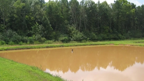 BARAH TIET NIEU BREI MBANG HAGAIT PIAH DRAH ABIH RUAK?